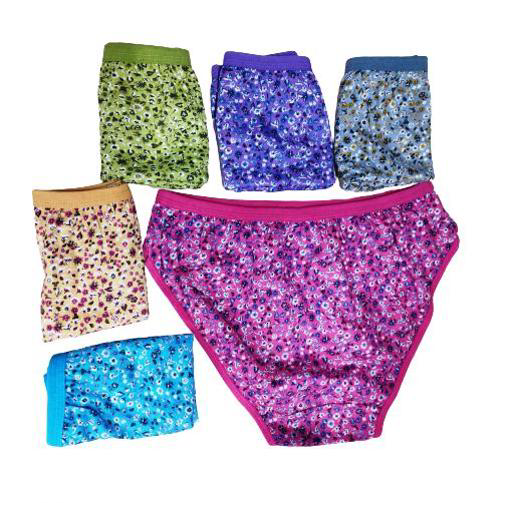 HRNIN SEC® - FLOWER PRINTED PANTY (PACK OF 6)